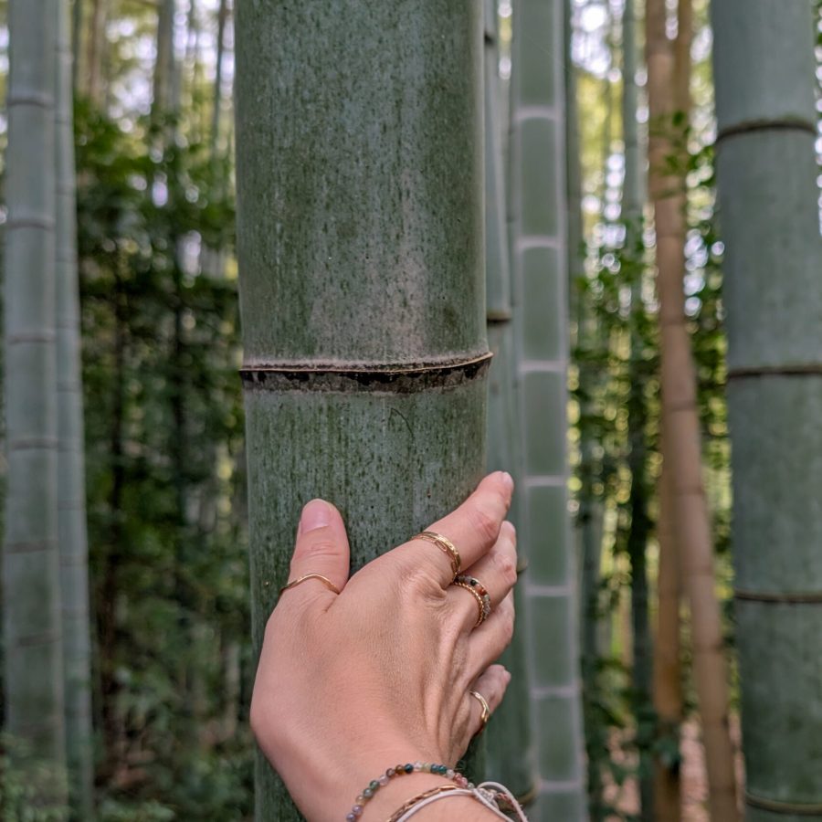 PXL_20241008_061746242.MP